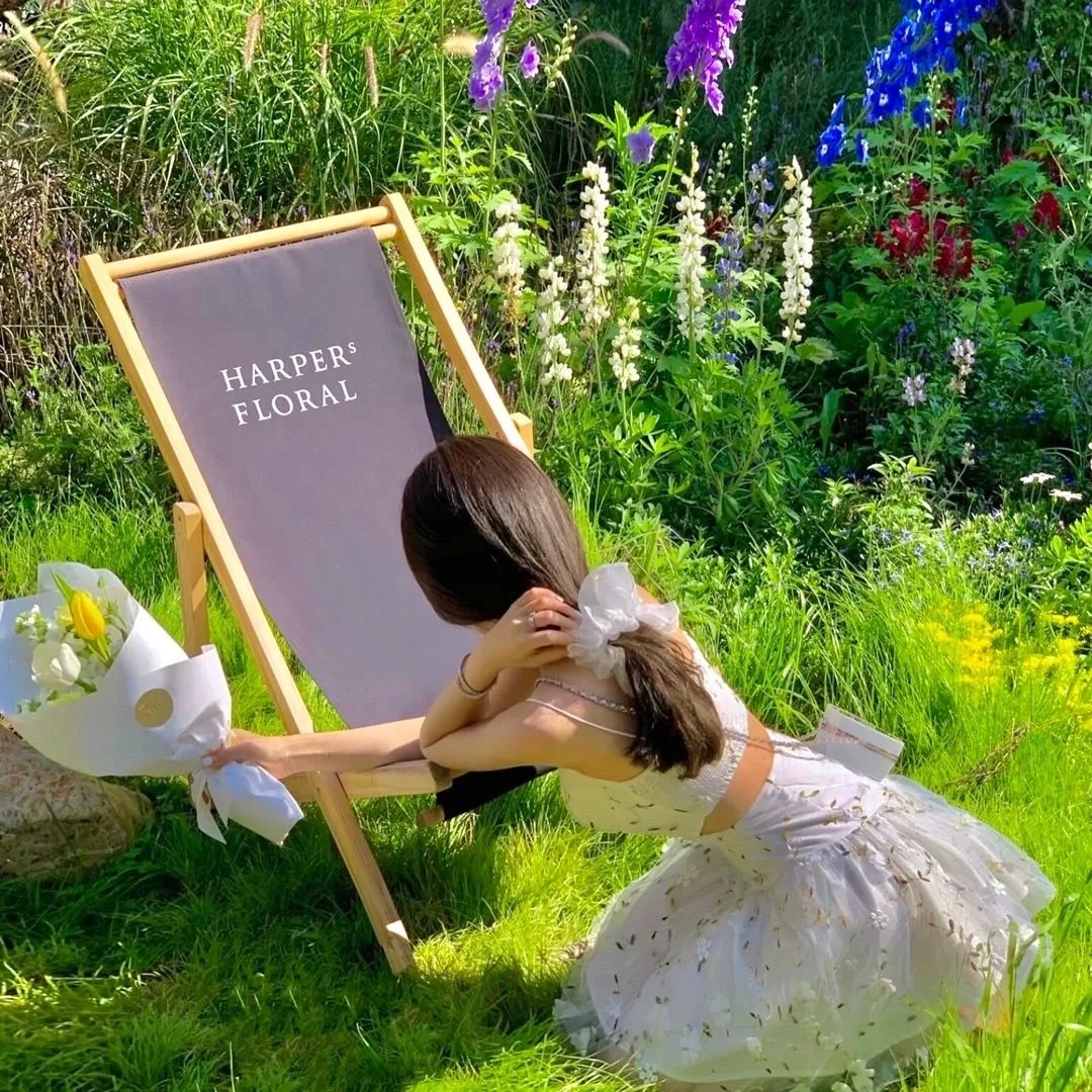 逆袭后大反派管我叫大哥